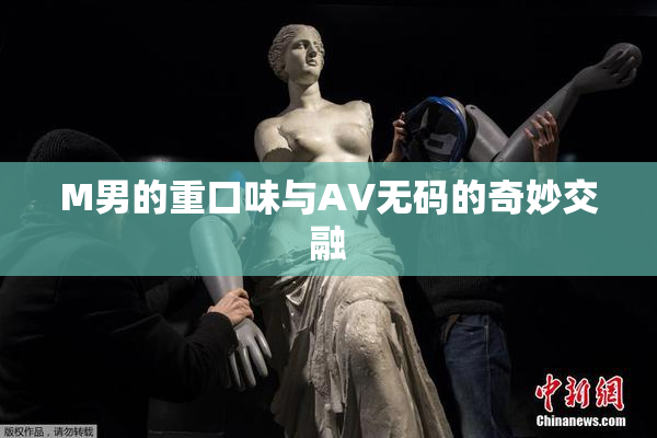 M男的重口味与AV无码的奇妙交融