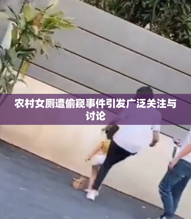 农村女厕遭偷窥事件引发广泛关注与讨论