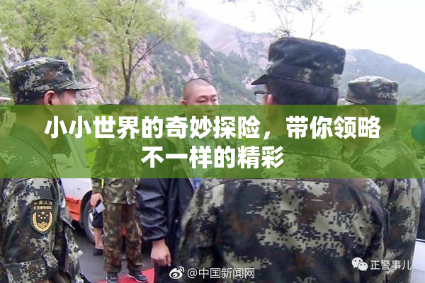 小小世界的奇妙探险，带你领略不一样的精彩