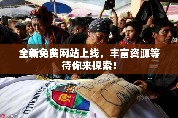 全新免费网站上线，丰富资源等待你来探索！