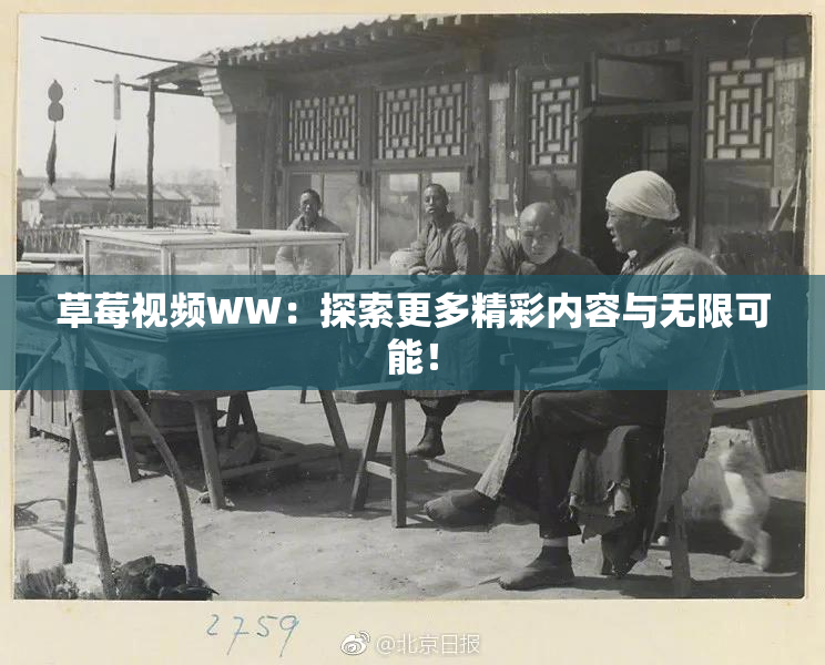 草莓视频WW：探索更多精彩内容与无限可能！