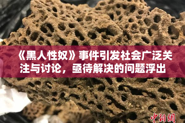 《黑人性奴》事件引发社会广泛关注与讨论，亟待解决的问题浮出水面