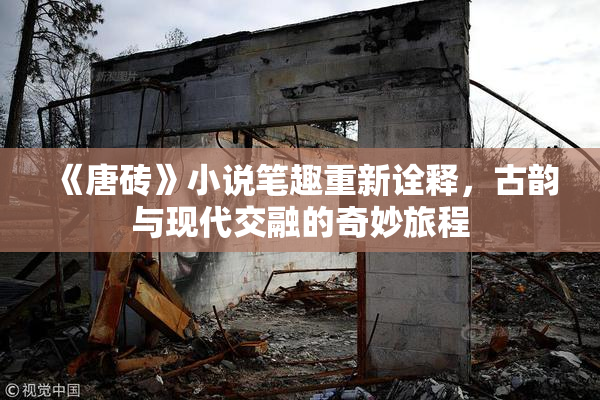 《唐砖》小说笔趣重新诠释，古韵与现代交融的奇妙旅程