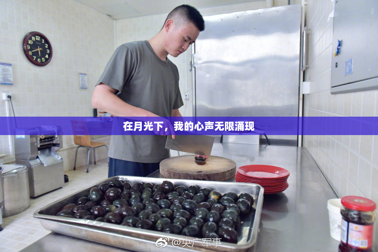 在月光下，我的心声无限涌现