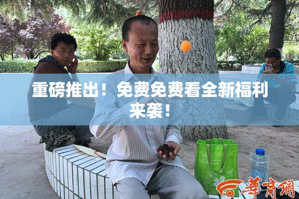 重磅推出！免费免费看全新福利来袭！