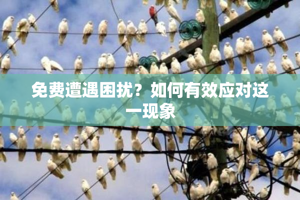 免费遭遇困扰？如何有效应对这一现象