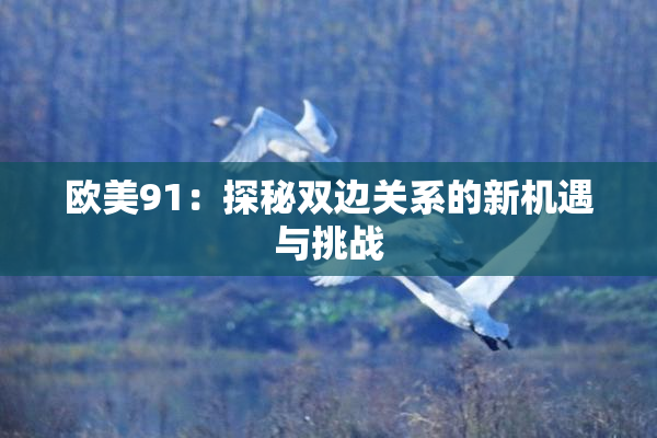 欧美91：探秘双边关系的新机遇与挑战