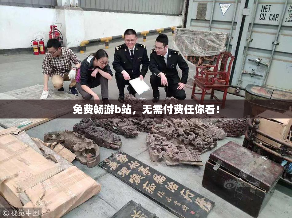 免费畅游b站，无需付费任你看！