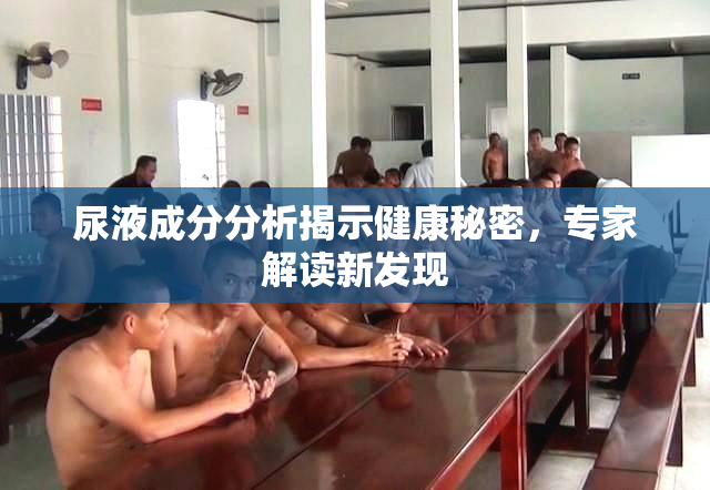 尿液成分分析揭示健康秘密，专家解读新发现
