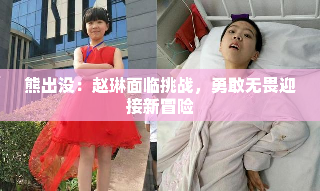 熊出没：赵琳面临挑战，勇敢无畏迎接新冒险