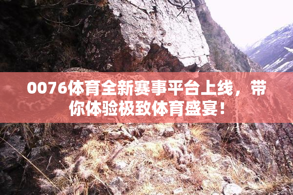 0076体育全新赛事平台上线，带你体验极致体育盛宴！