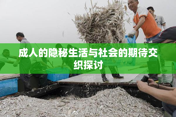成人的隐秘生活与社会的期待交织探讨