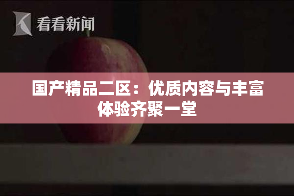 国产精品二区：优质内容与丰富体验齐聚一堂