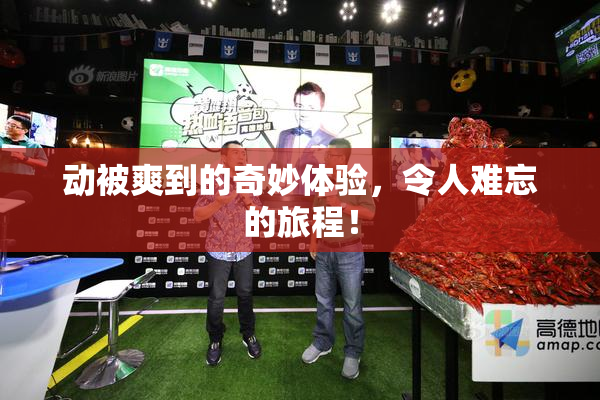 动被爽到的奇妙体验，令人难忘的旅程！