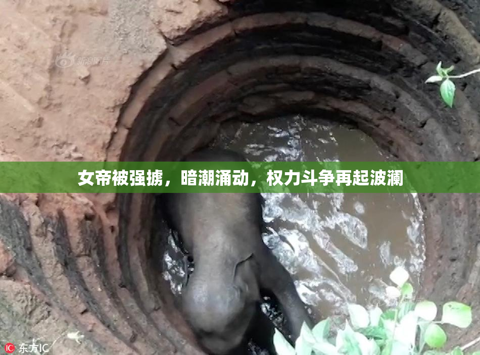 女帝被强掳，暗潮涌动，权力斗争再起波澜