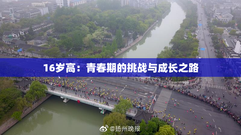 16岁高：青春期的挑战与成长之路