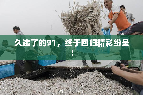 久违了的91，终于回归精彩纷呈！