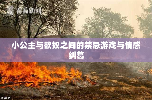 小公主与欲奴之间的禁忌游戏与情感纠葛