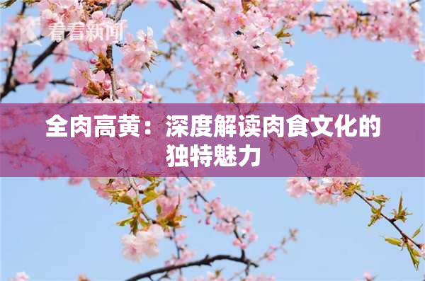 全肉高黄：深度解读肉食文化的独特魅力