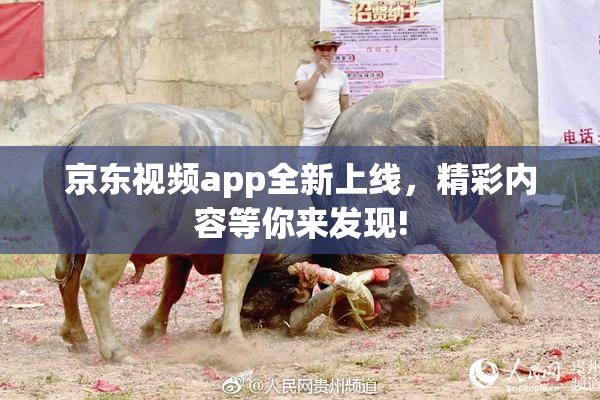 京东视频app全新上线，精彩内容等你来发现!