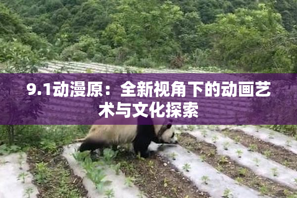 9.1动漫原：全新视角下的动画艺术与文化探索
