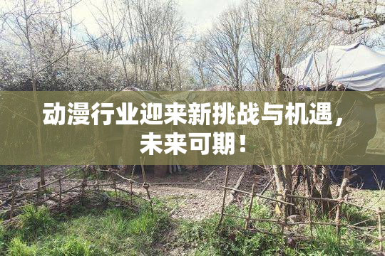 动漫行业迎来新挑战与机遇，未来可期！