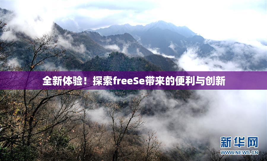 全新体验！探索freeSe带来的便利与创新