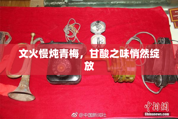 文火慢炖青梅，甘酸之味悄然绽放