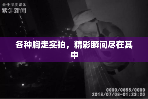 各种胸走实拍，精彩瞬间尽在其中