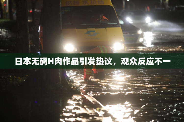 日本无码H肉作品引发热议，观众反应不一