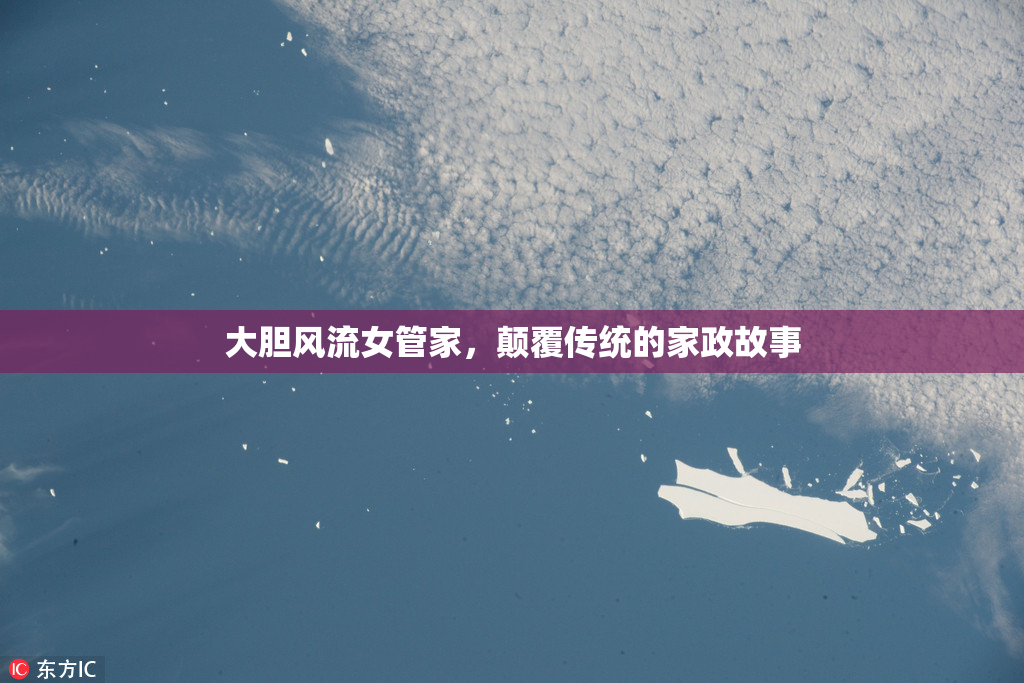 大胆风流女管家，颠覆传统的家政故事