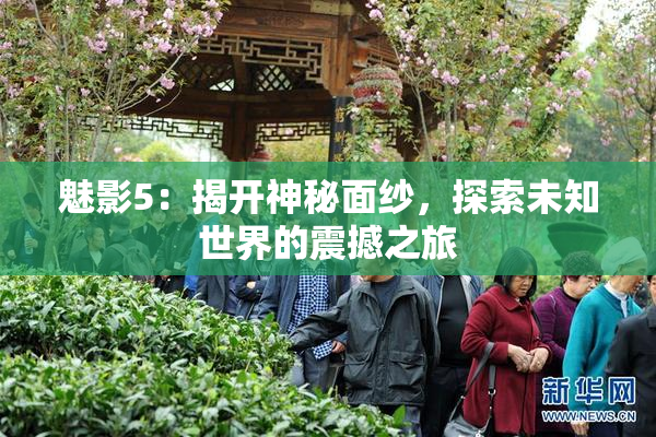 魅影5：揭开神秘面纱，探索未知世界的震撼之旅