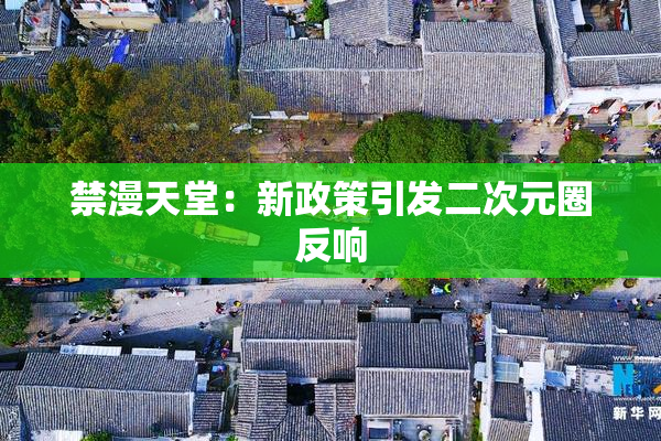 禁漫天堂：新政策引发二次元圈反响