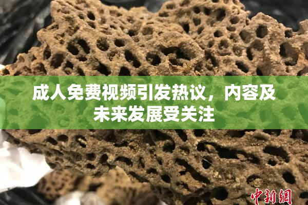 成人免费视频引发热议，内容及未来发展受关注