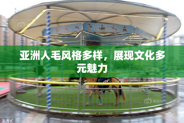亚洲人毛风格多样，展现文化多元魅力