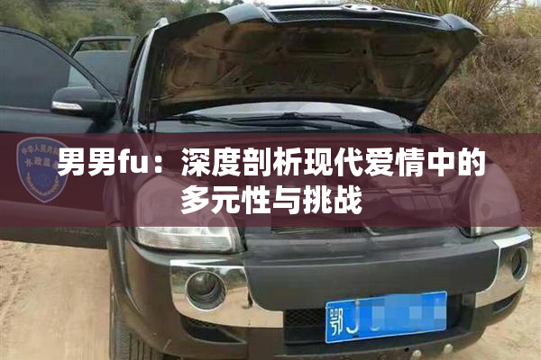 男男fu：深度剖析现代爱情中的多元性与挑战
