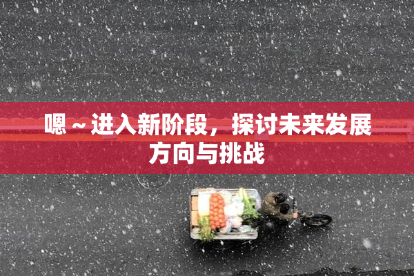 嗯～进入新阶段，探讨未来发展方向与挑战