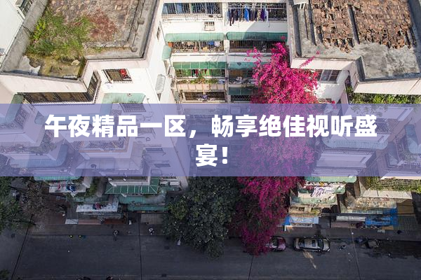 午夜精品一区，畅享绝佳视听盛宴！