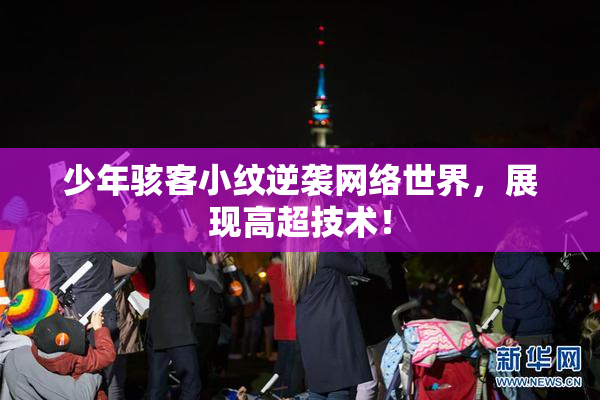 少年骇客小纹逆袭网络世界，展现高超技术！