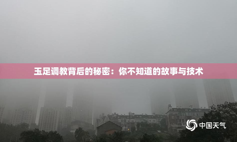 玉足调教背后的秘密：你不知道的故事与技术