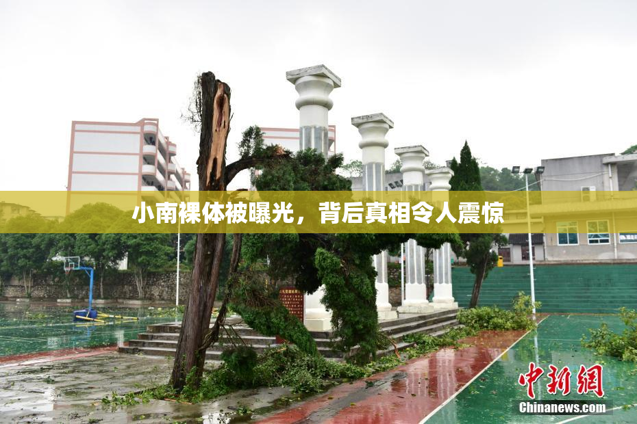 小南裸体被曝光，背后真相令人震惊
