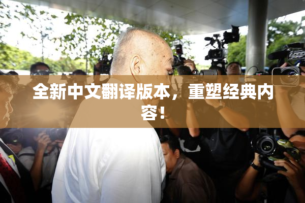 全新中文翻译版本，重塑经典内容！