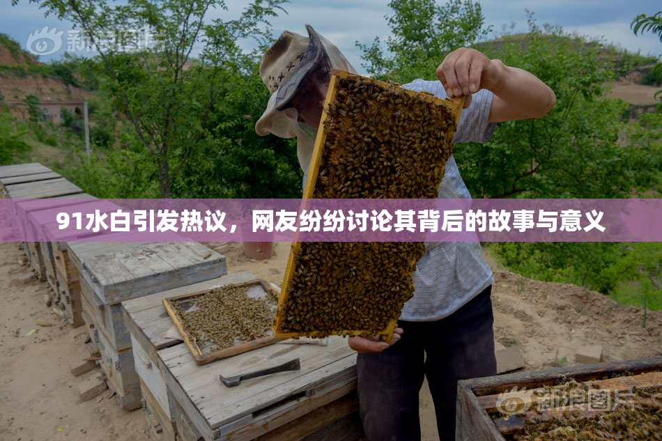91水白引发热议，网友纷纷讨论其背后的故事与意义