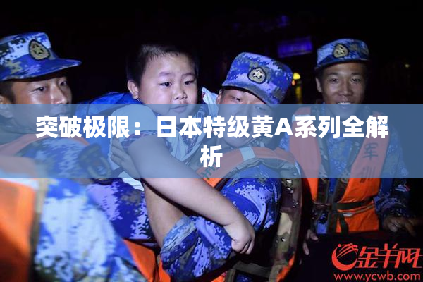 突破极限：日本特级黄A系列全解析