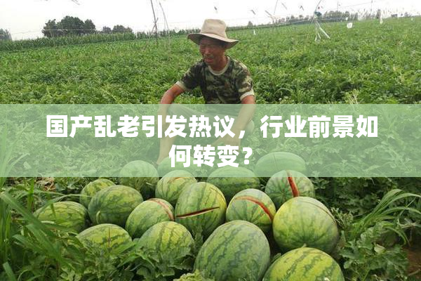 国产乱老引发热议，行业前景如何转变？