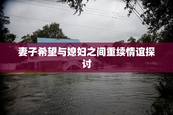 妻子希望与媳妇之间重续情谊探讨