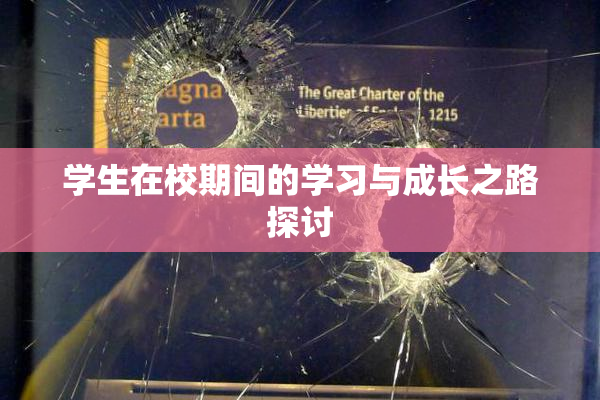 学生在校期间的学习与成长之路探讨