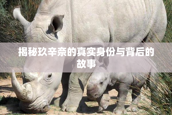 揭秘玖辛奈的真实身份与背后的故事