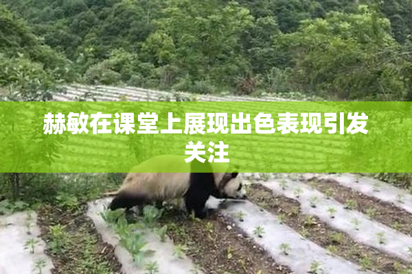 赫敏在课堂上展现出色表现引发关注