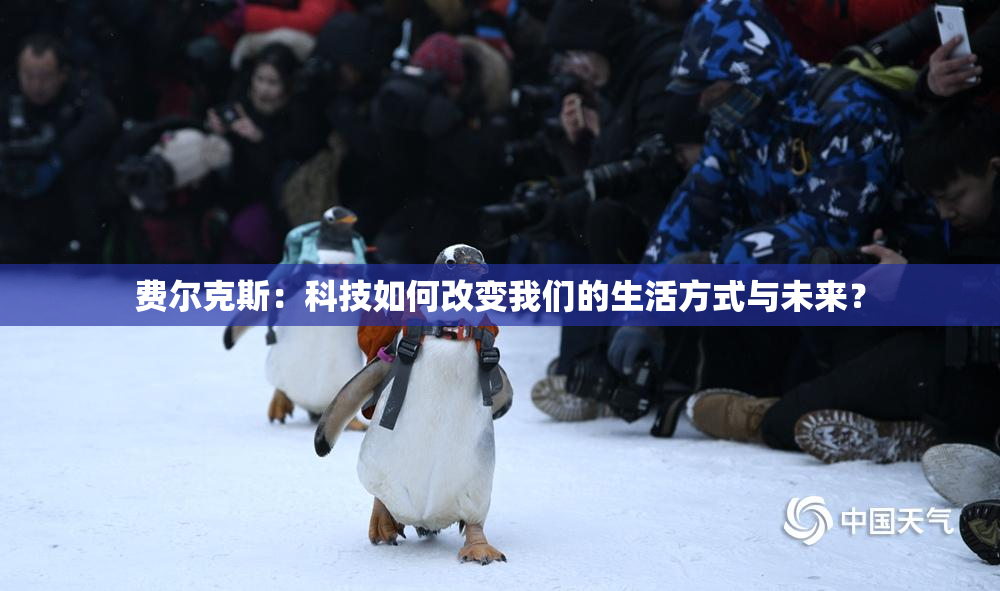 费尔克斯：科技如何改变我们的生活方式与未来？